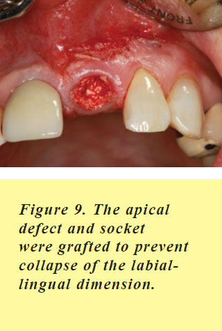 PerioDontaLetter Spring 2016