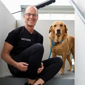 Periodontics & Dental Implants